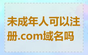 未成年人可以注册.com域名吗