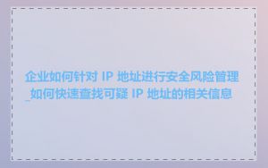 企业如何针对 IP 地址进行安全风险管理_如何快速查找可疑 IP 地址的相关信息