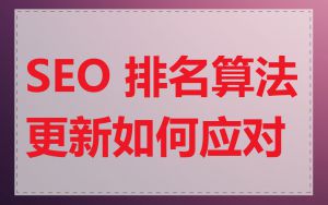 SEO 排名算法更新如何应对
