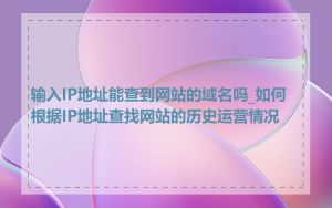 输入IP地址能查到网站的域名吗_如何根据IP地址查找网站的历史运营情况