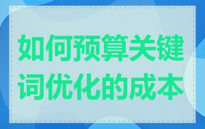 如何预算关键词优化的成本