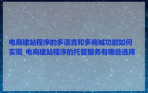电商建站程序的多语言和多商城功能如何实现_电商建站程序的托管服务有哪些选择