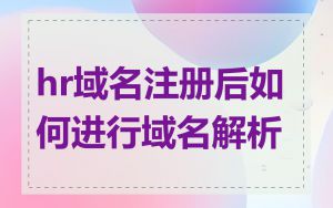 hr域名注册后如何进行域名解析