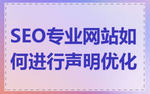 SEO专业网站如何进行声明优化