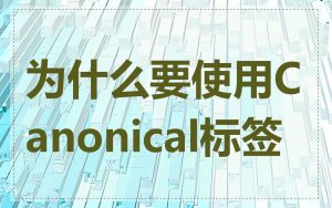 为什么要使用Canonical标签