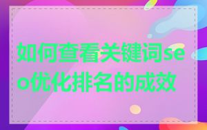 如何查看关键词seo优化排名的成效