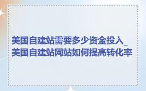 美国自建站需要多少资金投入_美国自建站网站如何提高转化率