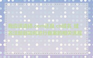 我应该选择.com还是.cn域名_域名注册后如何进行备案的相关流程