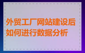 外贸工厂网站建设后如何进行数据分析
