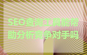 SEO查询工具能帮助分析竞争对手吗