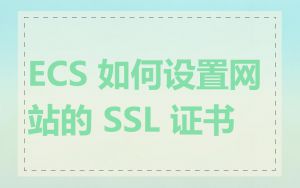 ECS 如何设置网站的 SSL 证书