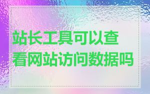 站长工具可以查看网站访问数据吗