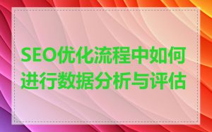 SEO优化流程中如何进行数据分析与评估