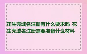 花生壳域名注册有什么要求吗_花生壳域名注册需要准备什么材料