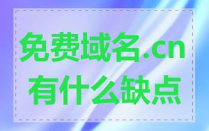 免费域名.cn 有什么缺点