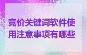 竞价关键词软件使用注意事项有哪些