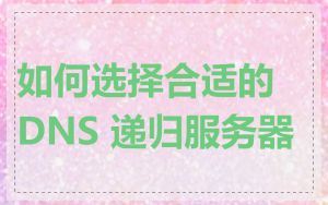 如何选择合适的 DNS 递归服务器