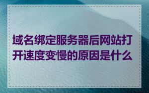 域名绑定服务器后网站打开速度变慢的原因是什么