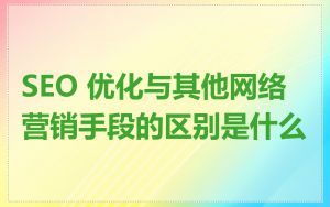 SEO 优化与其他网络营销手段的区别是什么