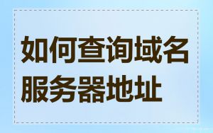 如何查询域名服务器地址