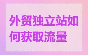 外贸独立站如何获取流量