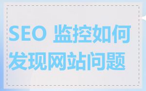 SEO 监控如何发现网站问题