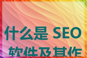 什么是 SEO 软件及其作用