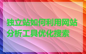 独立站如何利用网站分析工具优化搜索