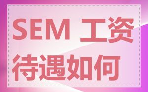 SEM 工资待遇如何