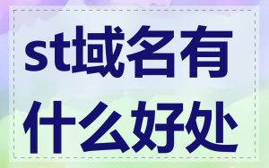 st域名有什么好处