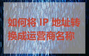 如何将 IP 地址转换成运营商名称