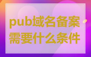 pub域名备案需要什么条件