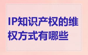 IP知识产权的维权方式有哪些