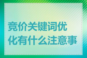 竞价关键词优化有什么注意事项