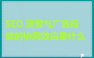SEO 运营与广告投放的协同效应是什么
