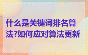 什么是关键词排名算法?如何应对算法更新