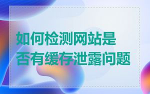 如何检测网站是否有缓存泄露问题