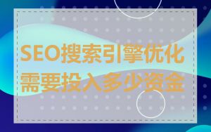 SEO搜索引擎优化需要投入多少资金