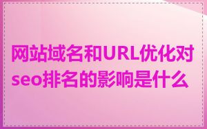 网站域名和URL优化对seo排名的影响是什么