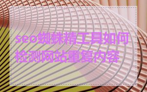 seo蜘蛛精工具如何检测网站重复内容