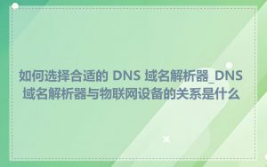 如何选择合适的 DNS 域名解析器_DNS 域名解析器与物联网设备的关系是什么