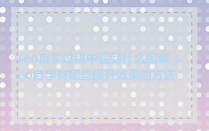 seo自学过程中遇到什么困难_seo自学有哪些提升效果的方法