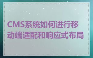 CMS系统如何进行移动端适配和响应式布局