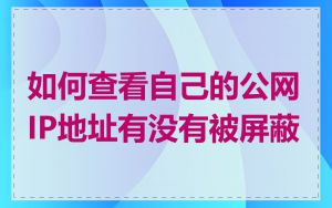 如何查看自己的公网IP地址有没有被屏蔽