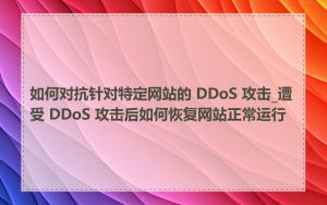 如何对抗针对特定网站的 DDoS 攻击_遭受 DDoS 攻击后如何恢复网站正常运行