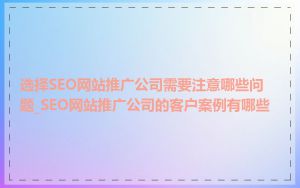 选择SEO网站推广公司需要注意哪些问题_SEO网站推广公司的客户案例有哪些