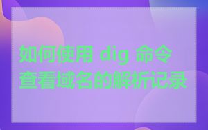 如何使用 dig 命令查看域名的解析记录