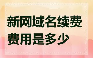 新网域名续费费用是多少