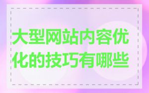 大型网站内容优化的技巧有哪些