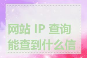 网站 IP 查询能查到什么信息